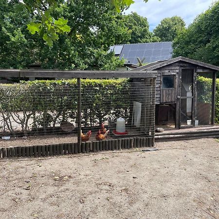 Completely Renovated Back Part Of A Farm Villa Uden Exteriör bild